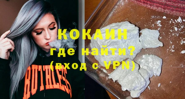шишки Армянск