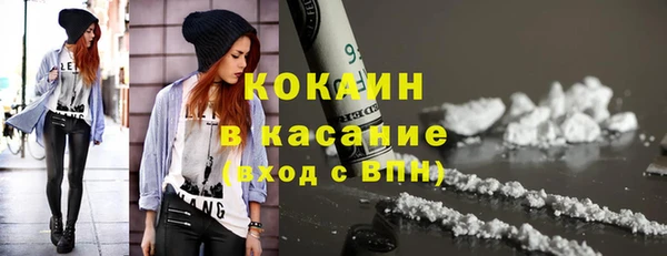 индика Арсеньев