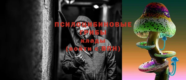 индика Арсеньев