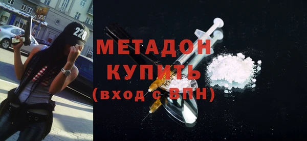 индика Арсеньев