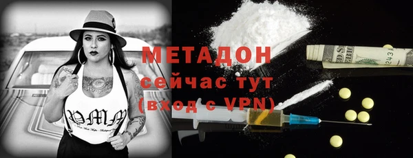индика Арсеньев