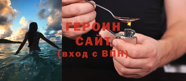 индика Арсеньев