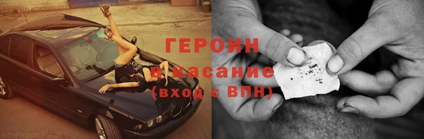 индика Арсеньев