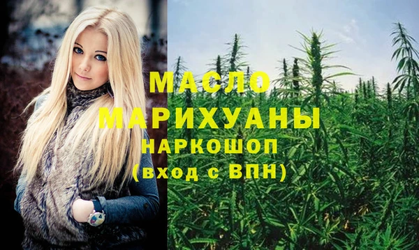 индика Арсеньев
