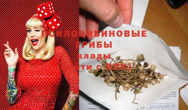 шишки Армянск