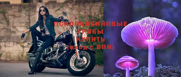 шишки Армянск