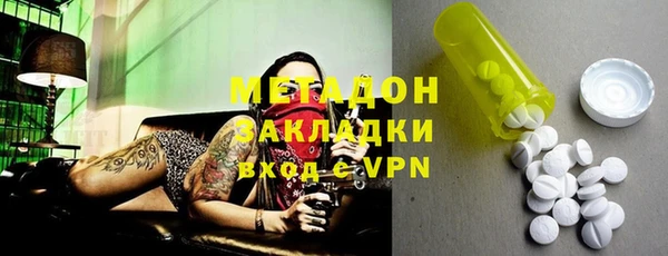 индика Арсеньев
