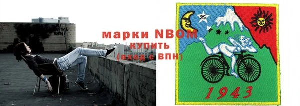шишки Армянск