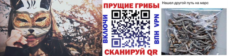 Галлюциногенные грибы MAGIC MUSHROOMS  купить наркоту  hydra   Певек 